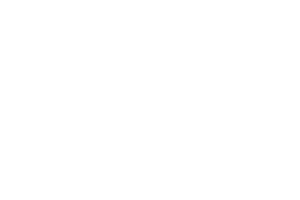 colegio de registradores blanco