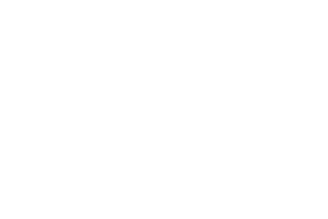 aliseda inmobiliaria
