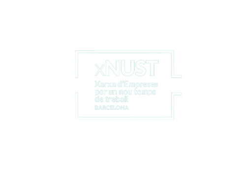 logo nust