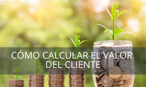 Valor del cliente-Life time value