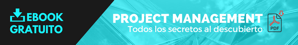 Descargar Project Management Ebook