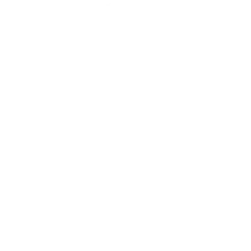 ceo