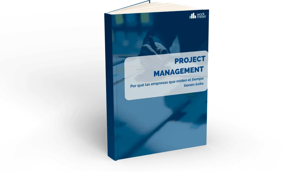 project management