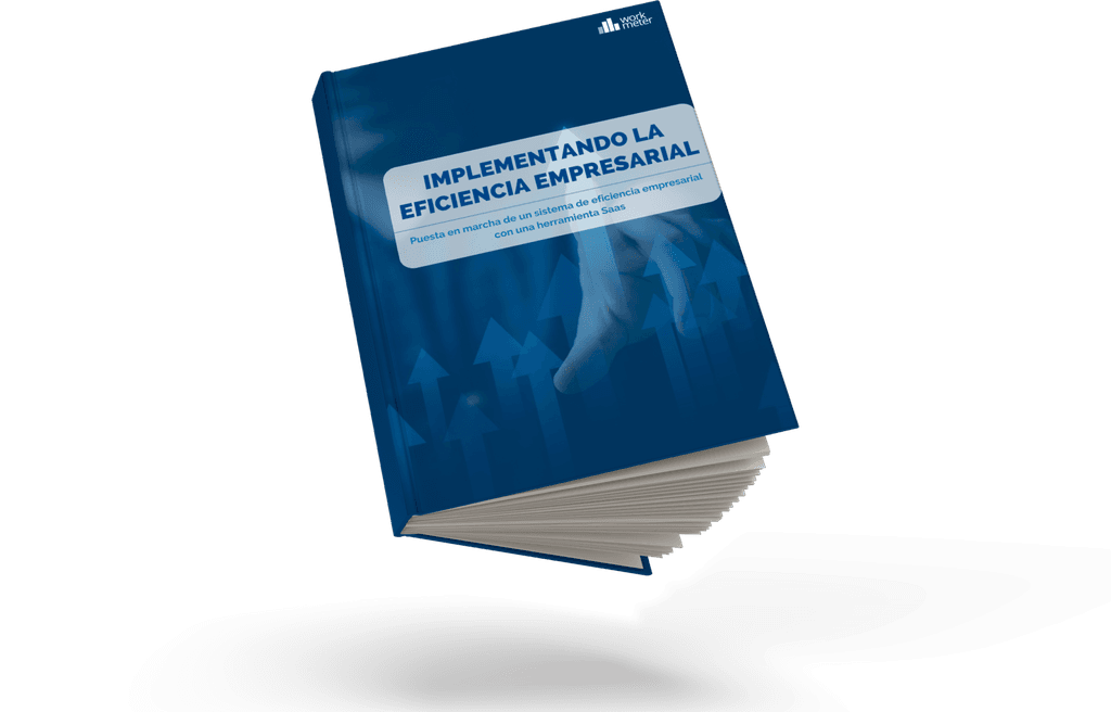 eficiencia empresarial