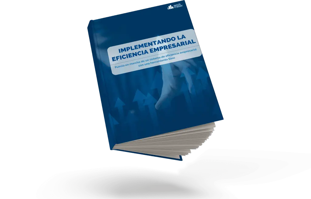 eficiencia empresarial