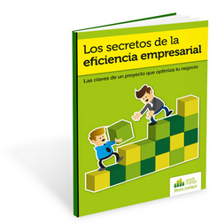eficiencia empresarial