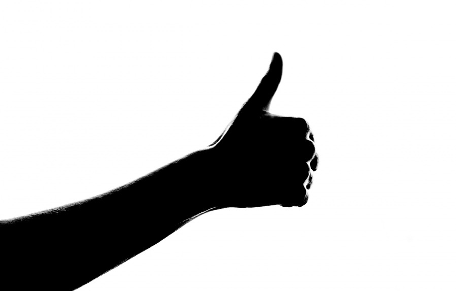 Imagen de cabecera del artículo